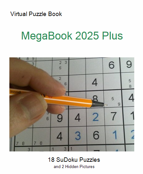MegaBook 2025 Plus